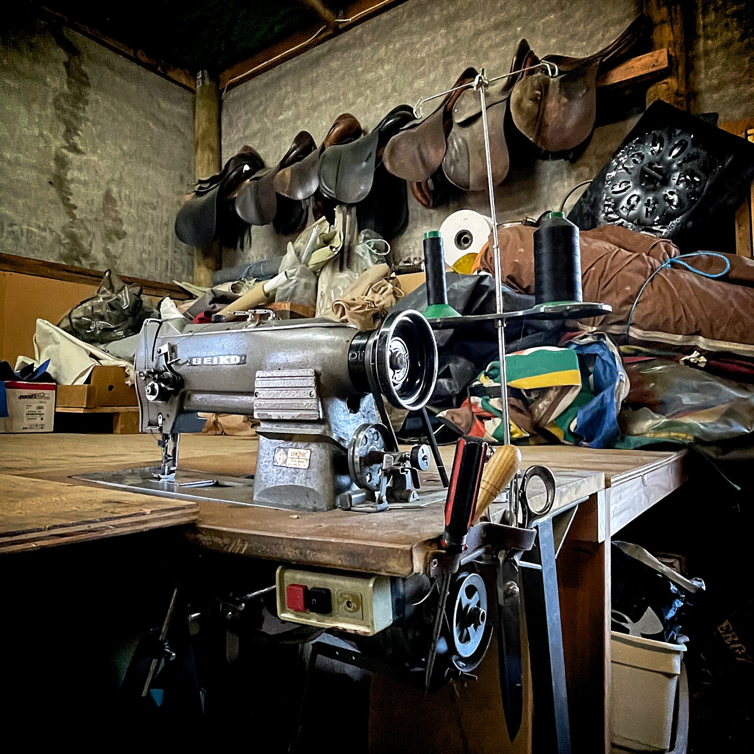 Horse gear on display t our workshop in Masterton, Wairarapa
